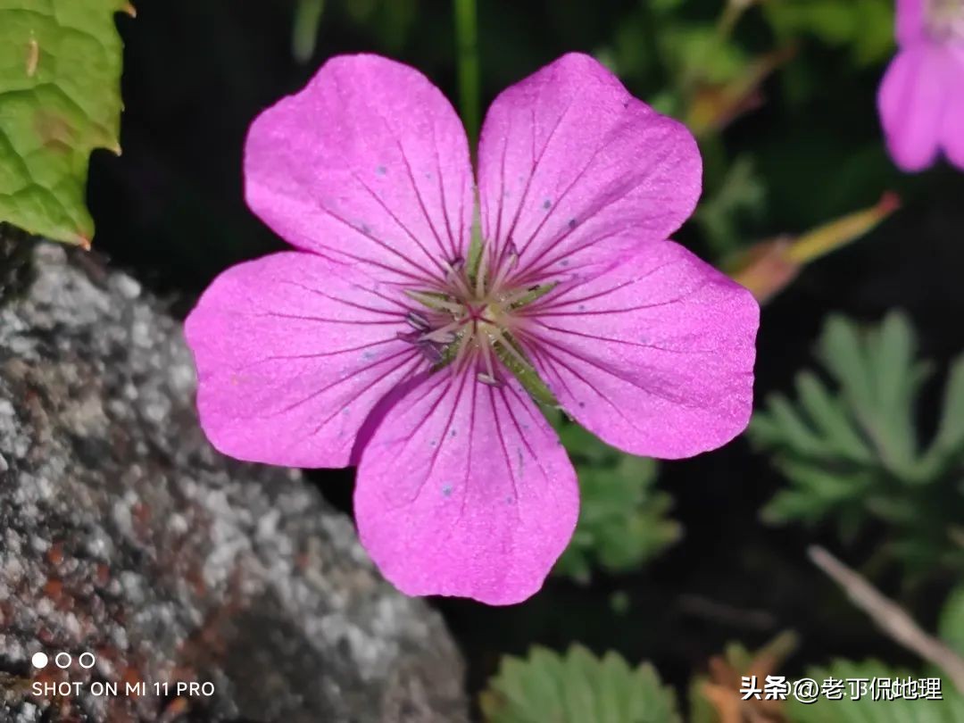 川西大环线马尔康线路推荐吗,川藏317阿里大环线地图及攻略