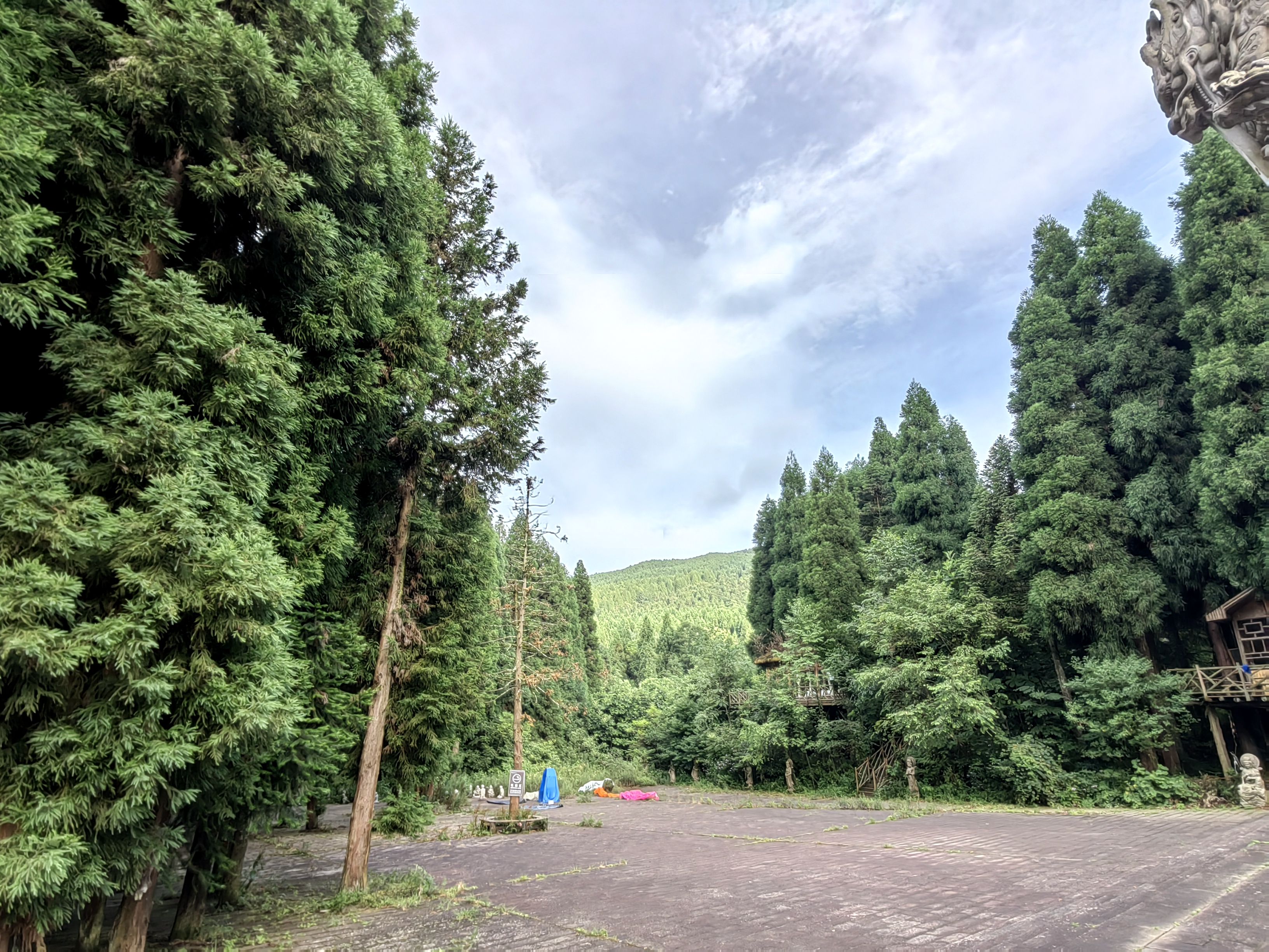 武陵山森林公园罗汉,武陵山国家森林公园看猴子