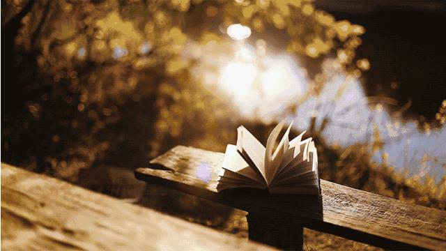 读书的意义董卿白岩松,董卿谈读书与不读书的人生