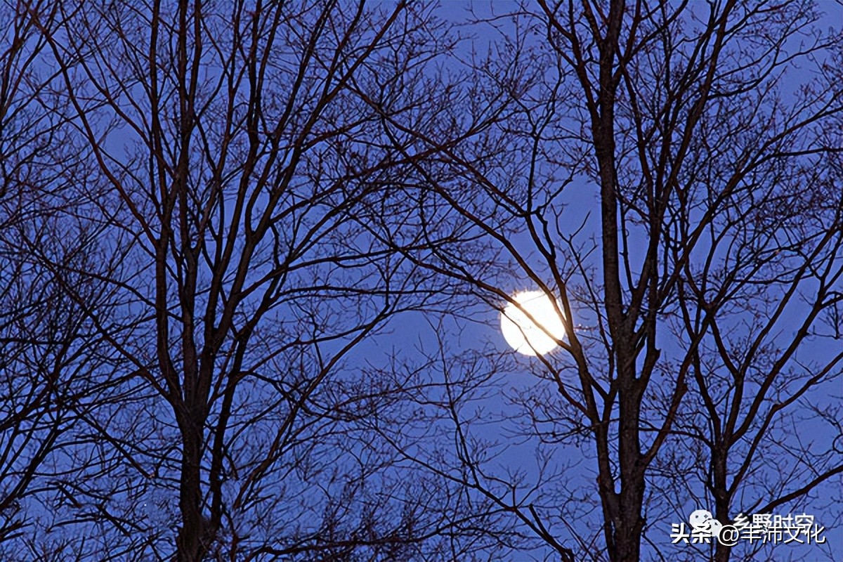 《穿越乡野时空》(2-1):没有钟表的时候怎么看时间?