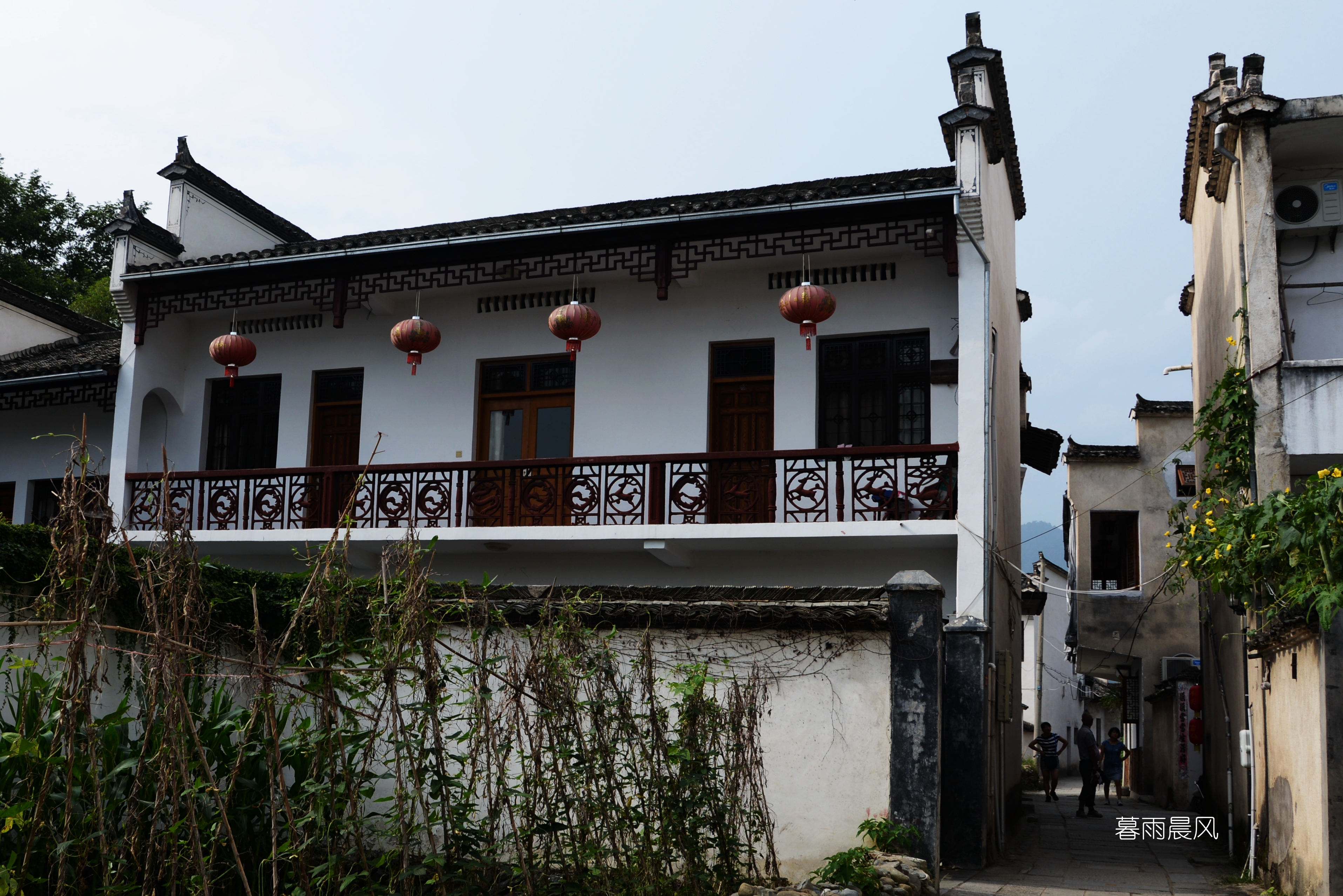 2014年黄山游,2014黄山银毫