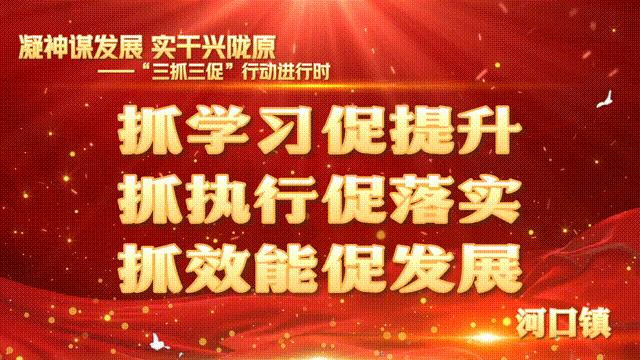 河口乡村振兴添活力,河口区乡村振兴示范