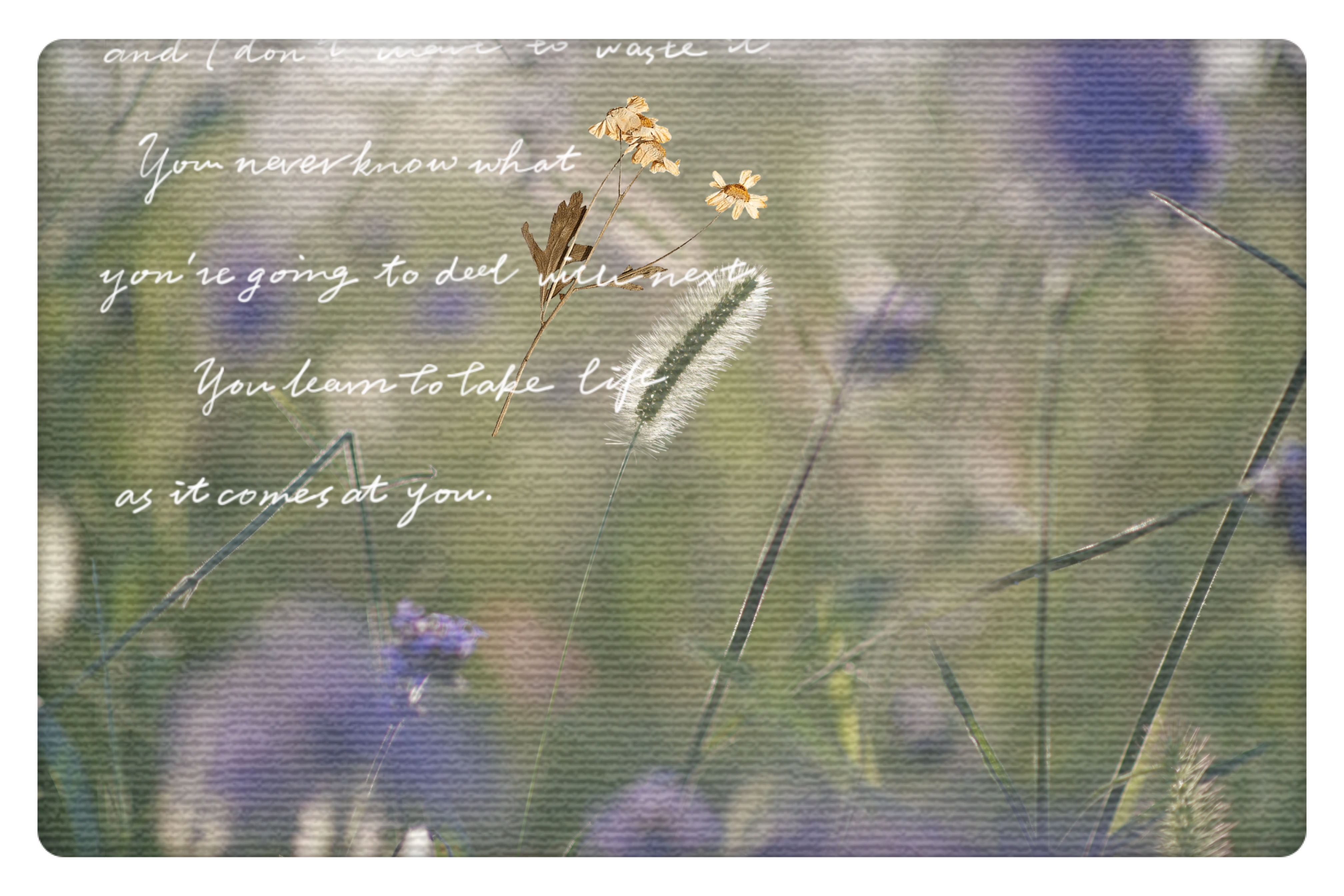 重庆市赏花胜地游玩线路,重庆渝北周边赏花地点推荐