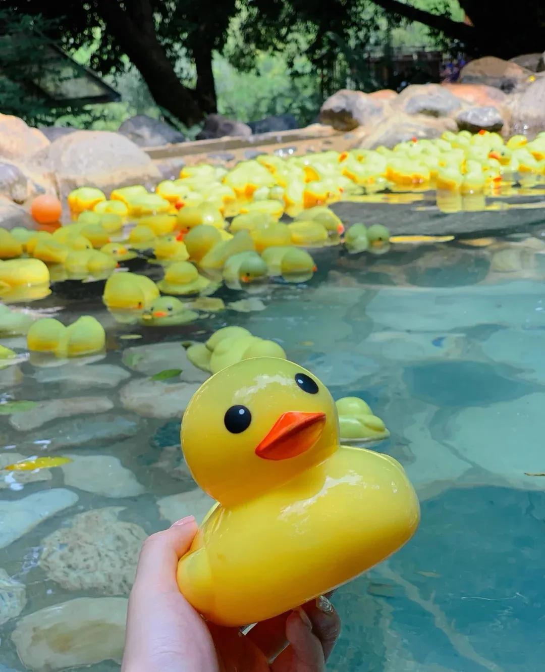 昆明适合儿童度假玩乐的温泉酒店,昆明西麓温泉山谷6-7期在哪里