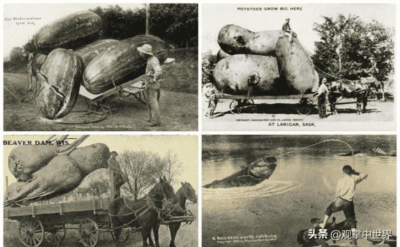 娓呭绉樺彶鍥剧墖澶у叏,娓呬唬鍘嗗彶鐝嶈吹褰卞儚