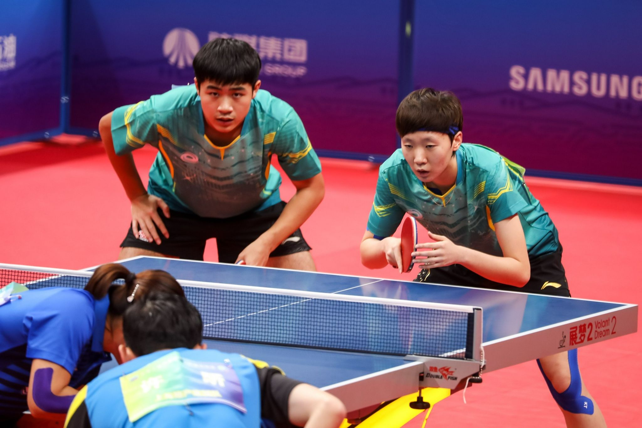 巴黎周期国乒积分樊振东,樊振东巴黎周期胜率