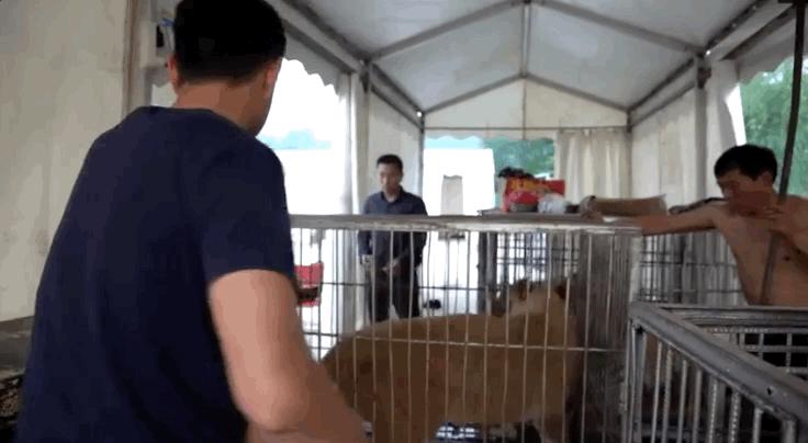 全网最近大事件,最大丑闻案件