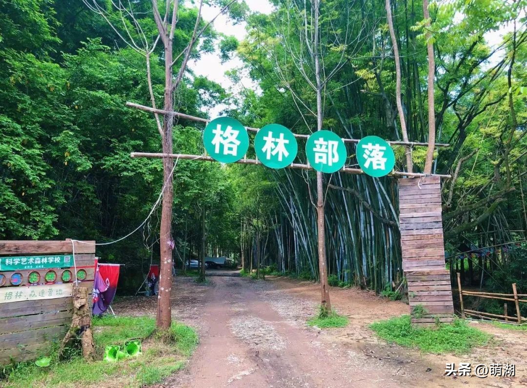 广州这个竹林溯溪胜地玩水,清凉避暑好去处山洞里一起来玩水