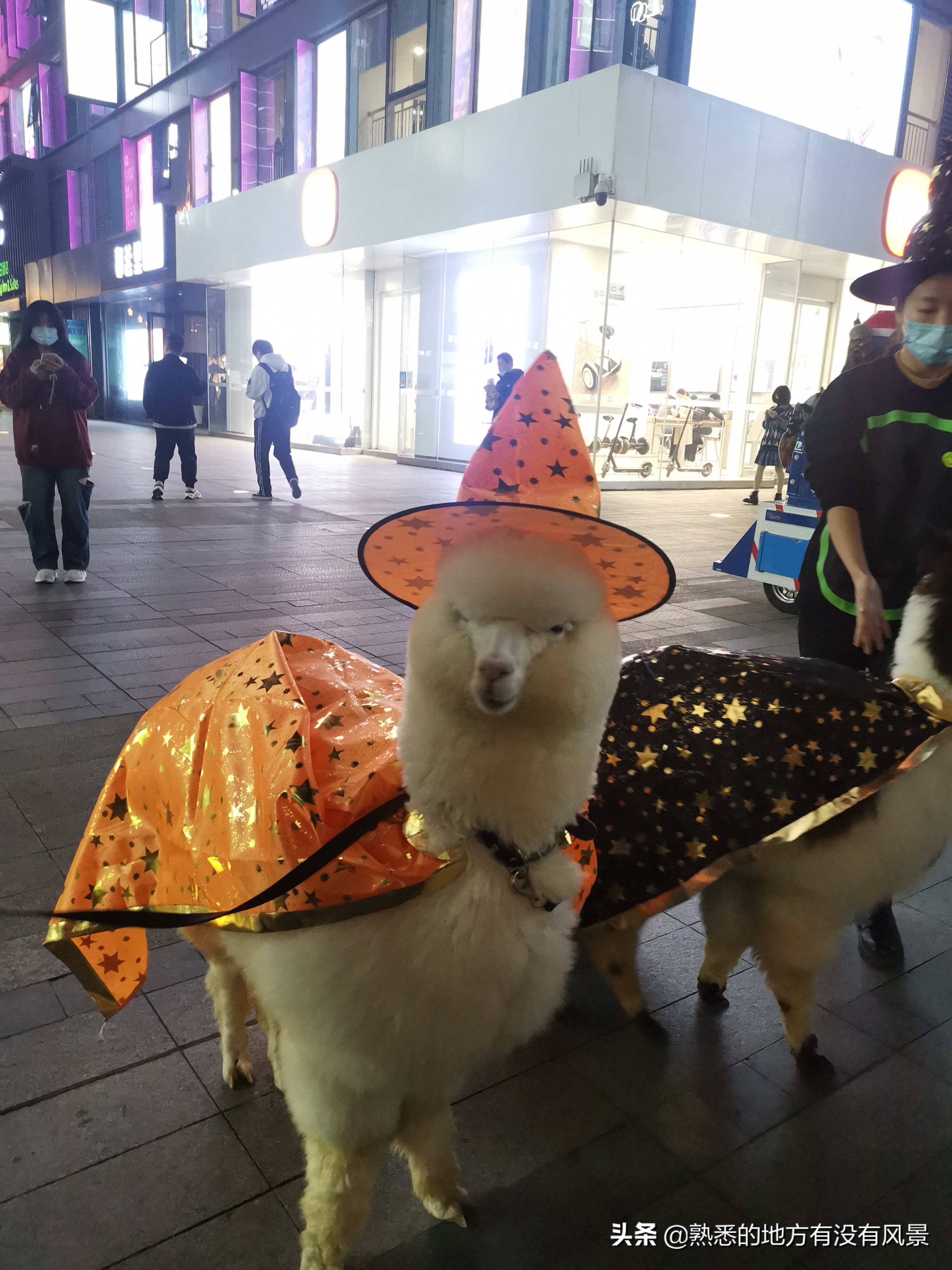 西安大都荟有什么逛的,和西安大都荟一样的商圈