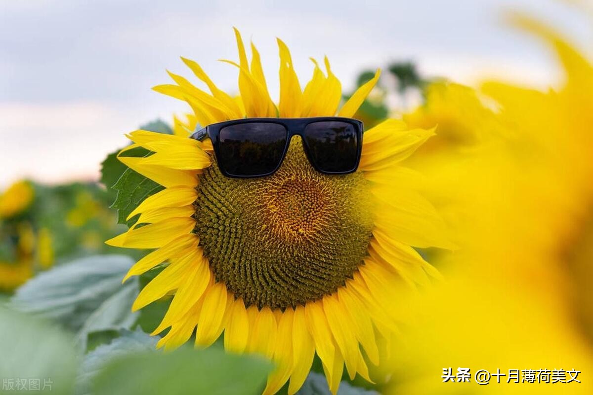 发朋友圈会被秒赞的有趣文案,做饭文案吸引人秒赞