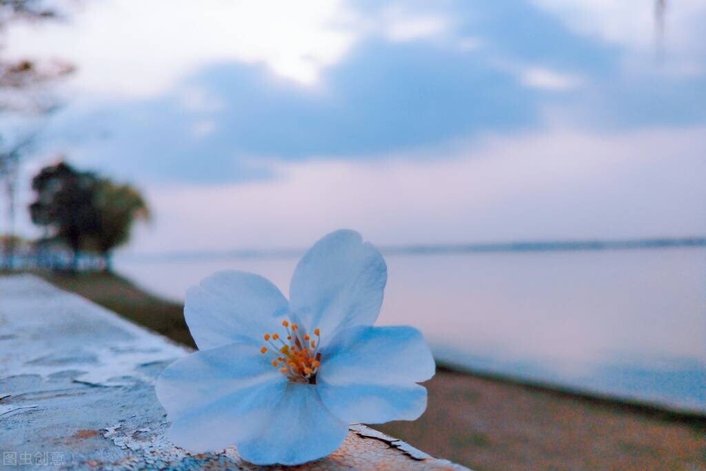 人生要善于捕捉机遇,善于抓住机遇的人比较高明