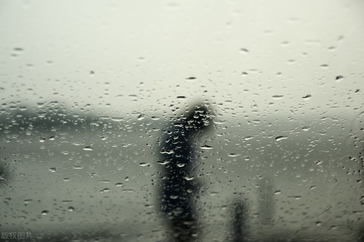 金庸退学的真实故事,金庸被退稿