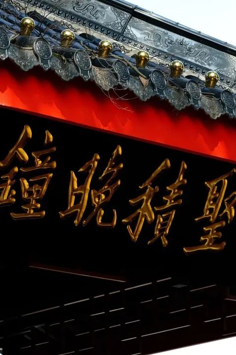 不上峨眉山自驾一日游最佳攻略,峨眉山全程不用步行攻略