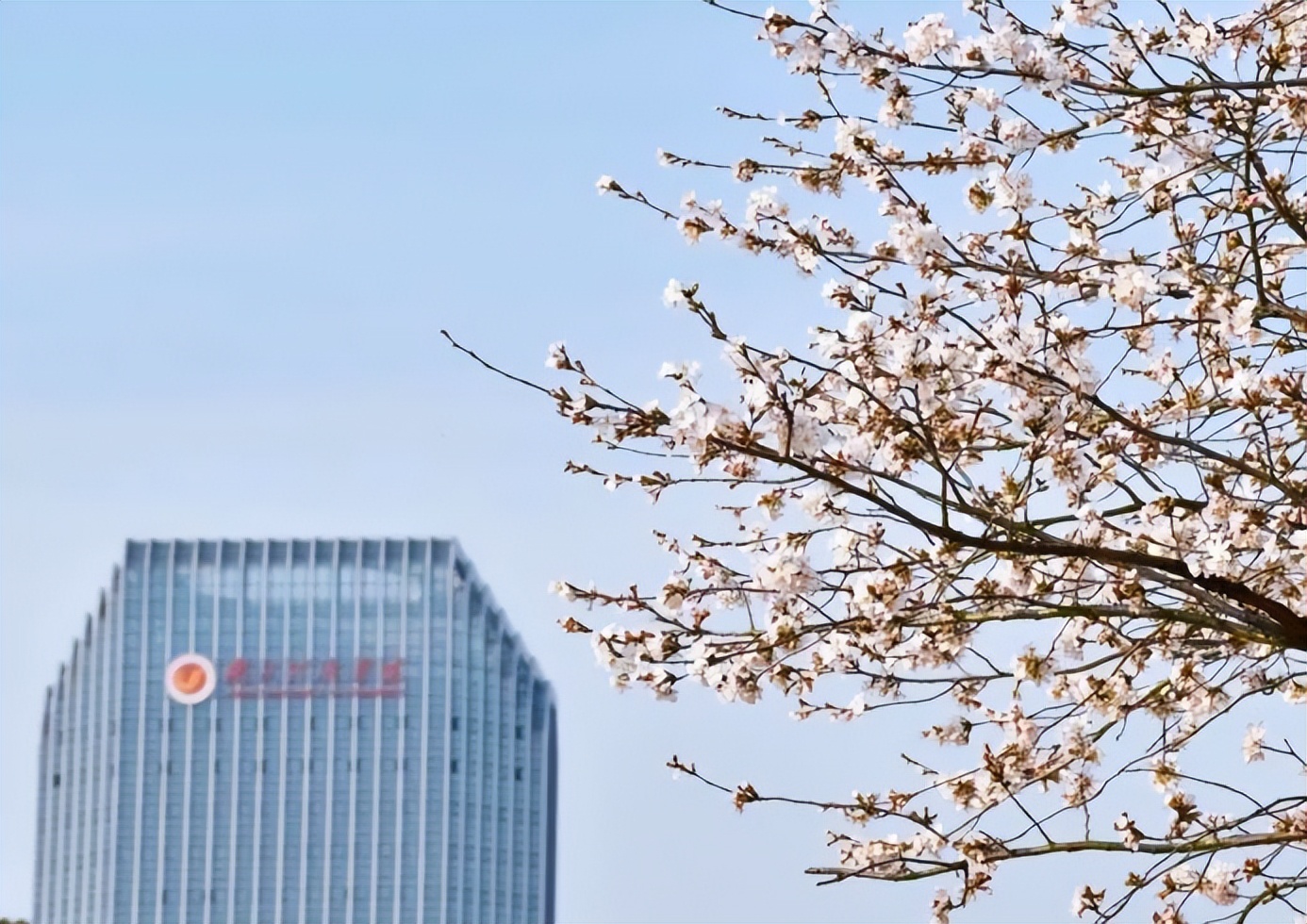 牛津vs哈佛,2022牛津大学vs剑桥大学