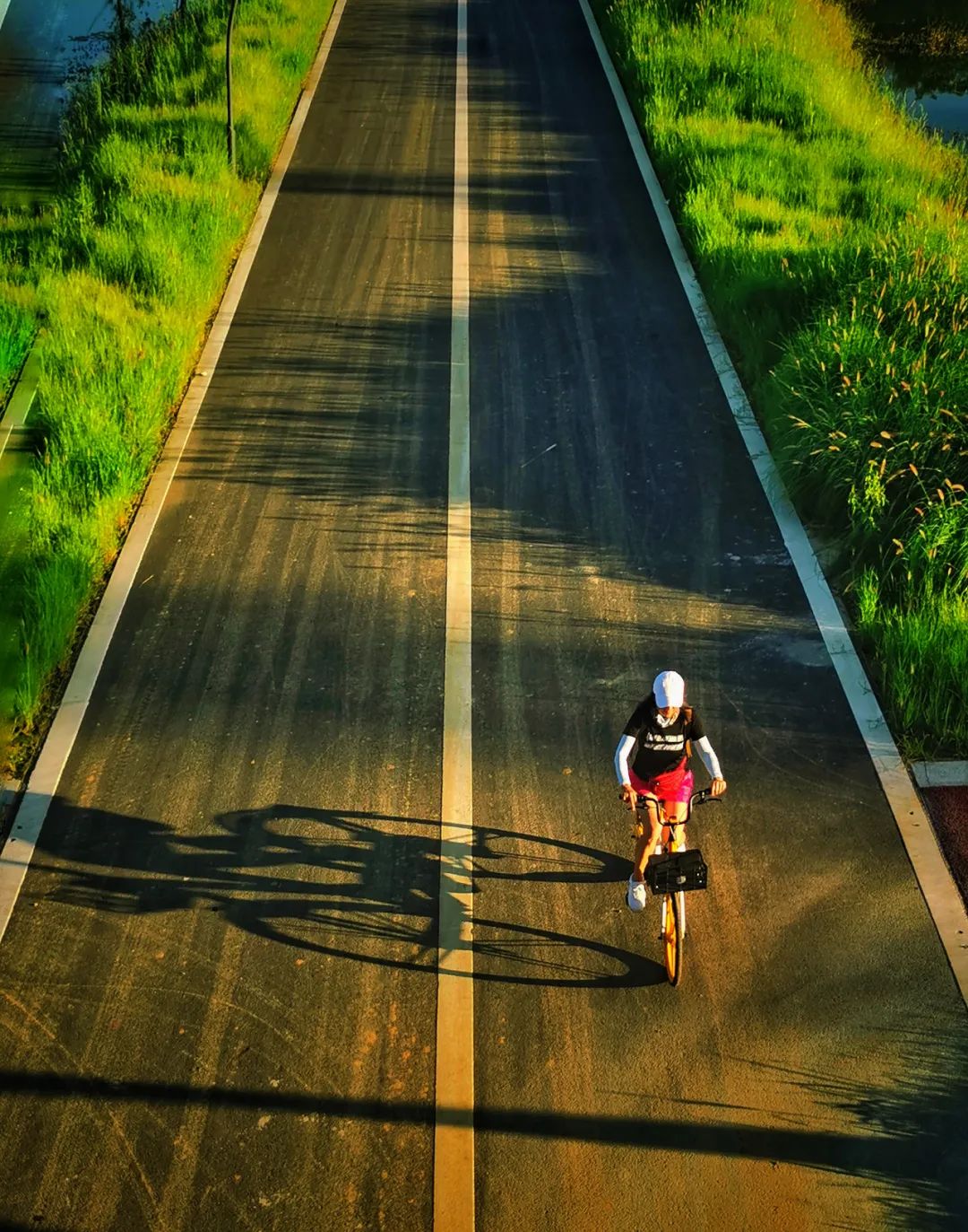 生活在公园城市,生活在公园城市里