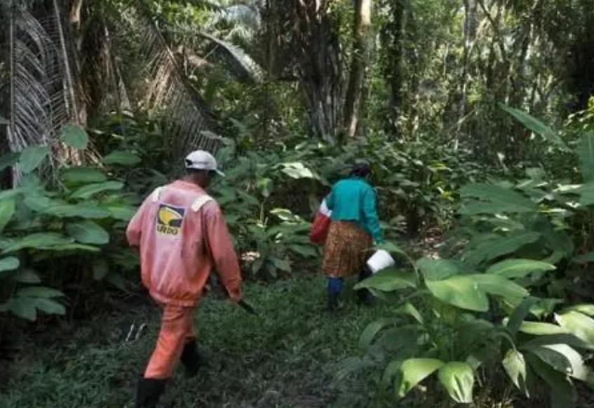 马航失联有多少人拿到赔偿,马航失联人员赔了多少钱
