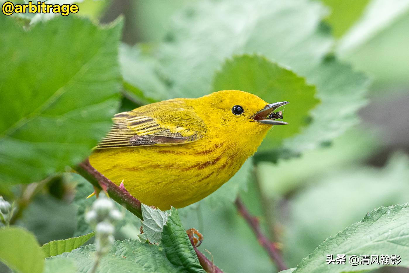 尼康d850拍照有多强,摄影器材篇尼康d850