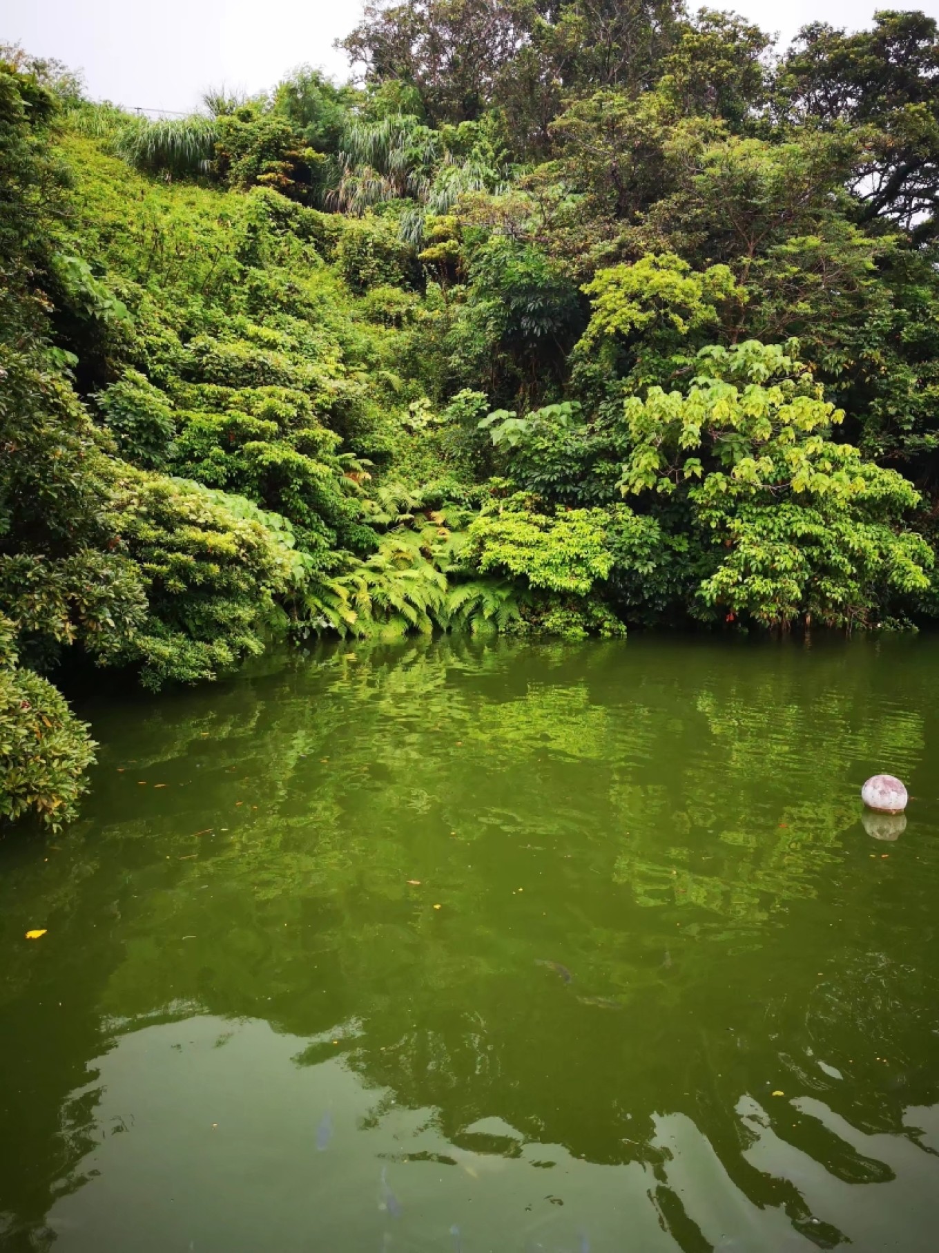 暑期档2019年,2019年暑期档