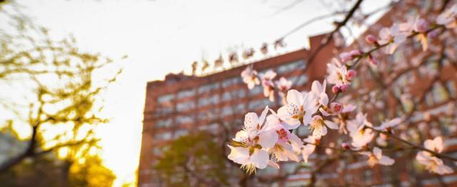 北京外国语大学法学英语双学位,北京外国语大学继续教育怎样