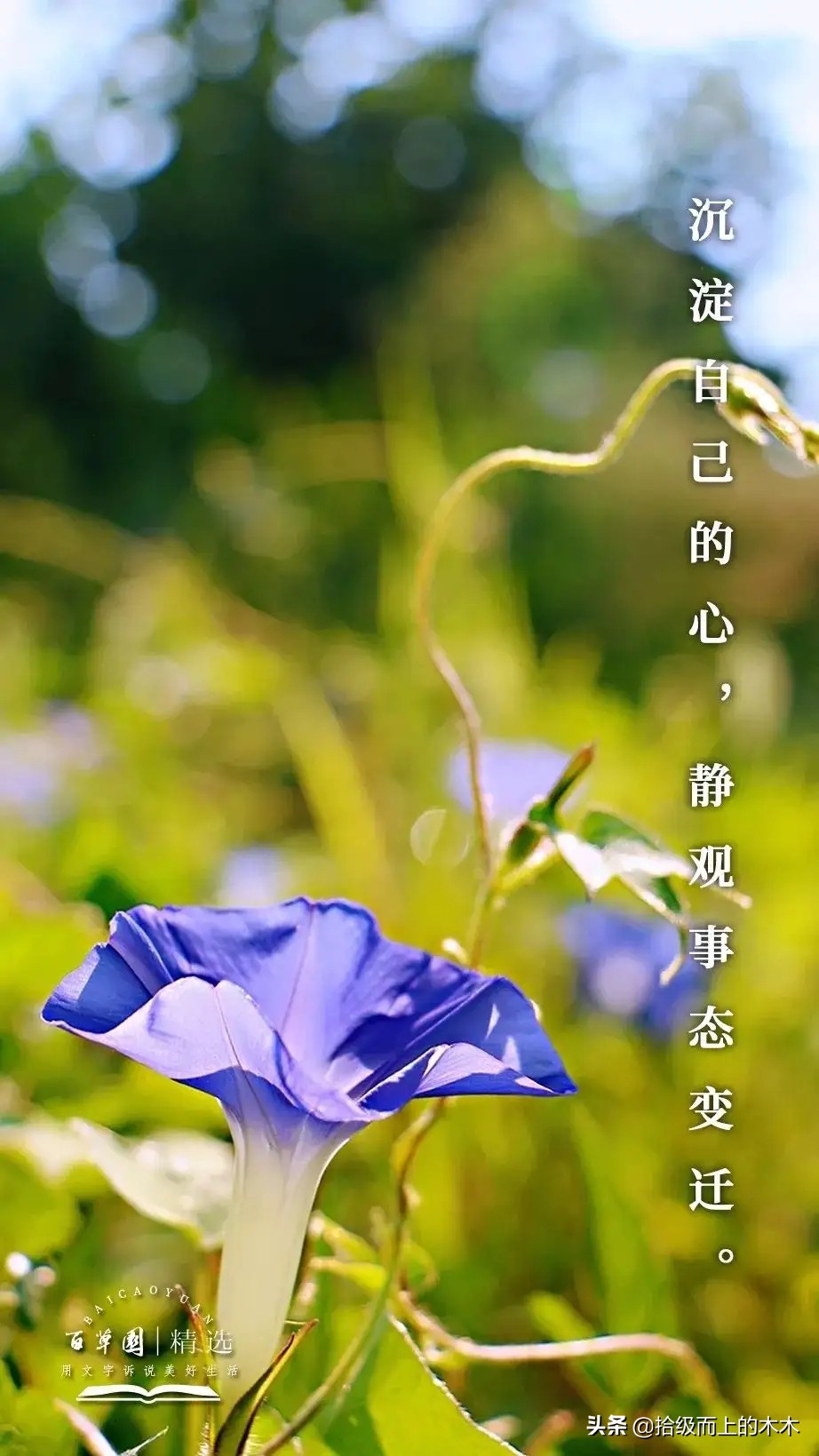 陈二狗乡村创业史四十七集,陈二狗乡村创业史第一百九十六集