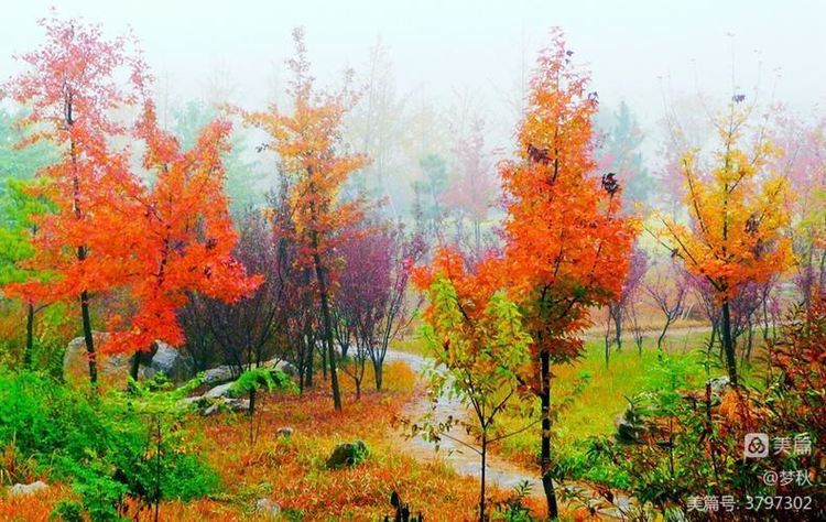 秋风、秋雨、秋韵山东老干部之家诗词雅阁第十二期