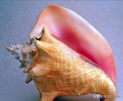 最好看的粉色宝石,粉色小众宝石