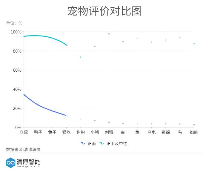 最可爱的萌宠排行榜,萌宠可爱程度排行榜