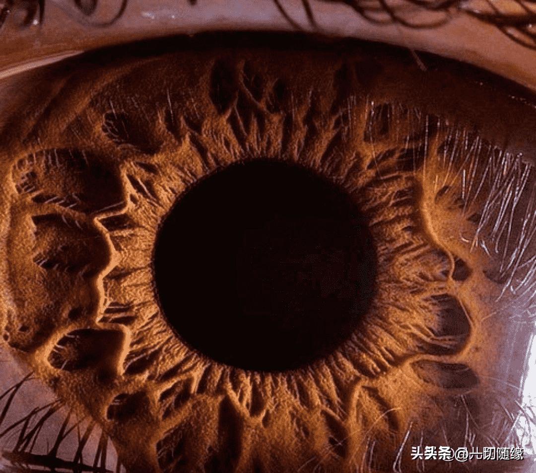 晚清真实：花楼女子媚态撩人，丰乳肥臀，30张老照片尽展风姿迷人