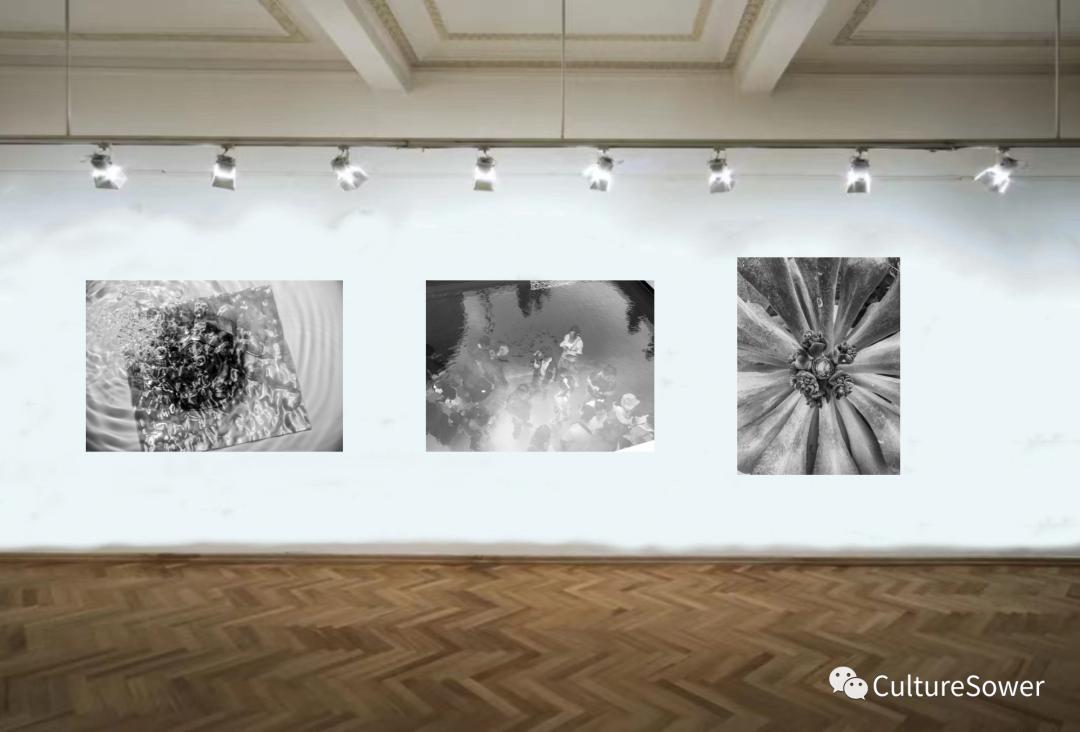 线上艺术展,线上展会现场直播