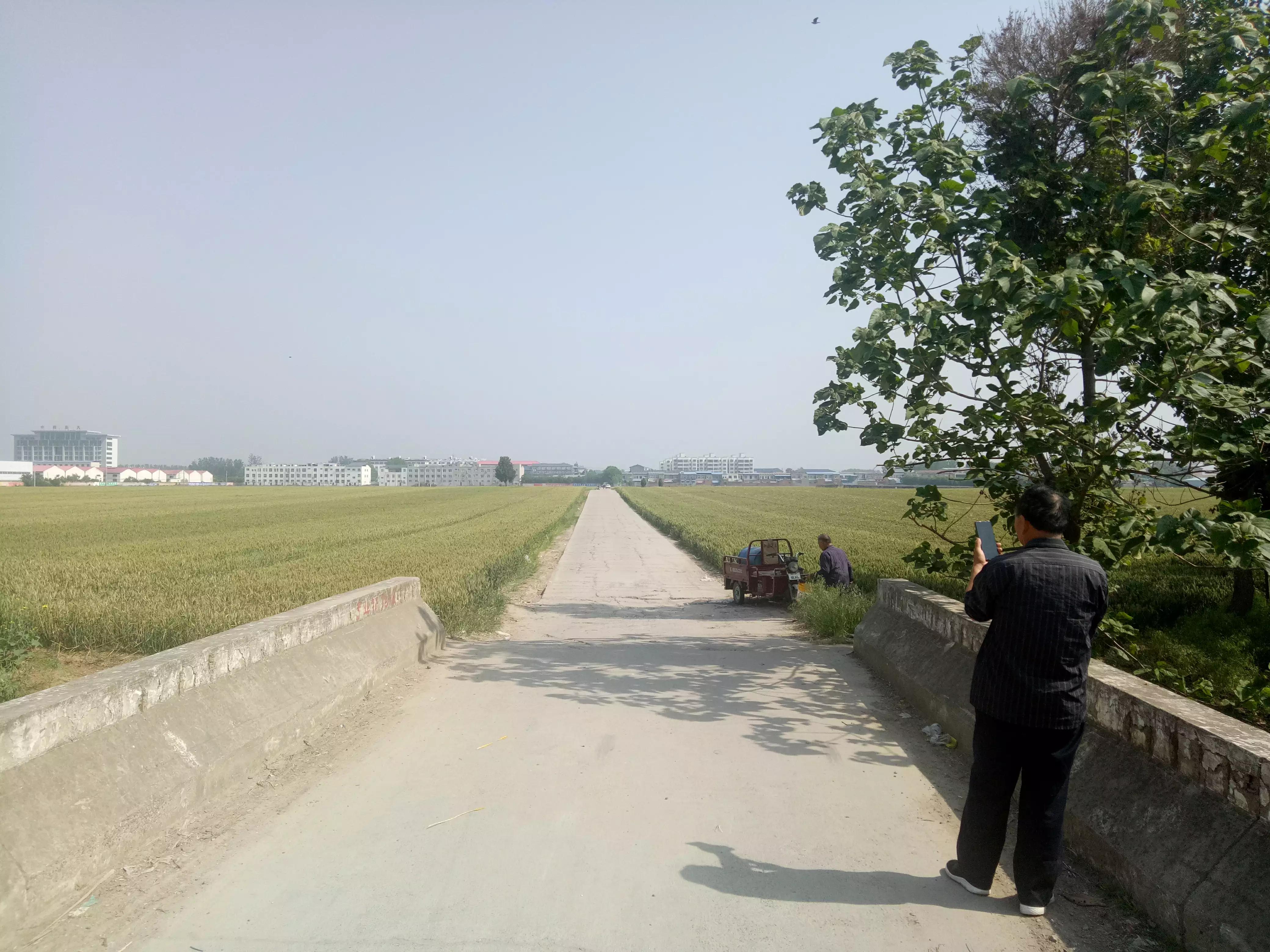 许昌张潘古墓图片,许昌市张潘镇古墓