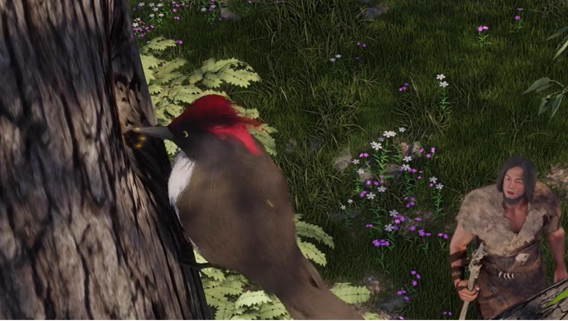 （一）中国烹饪概述火烹熟食是烹饪的起源烹饪小课堂（1）