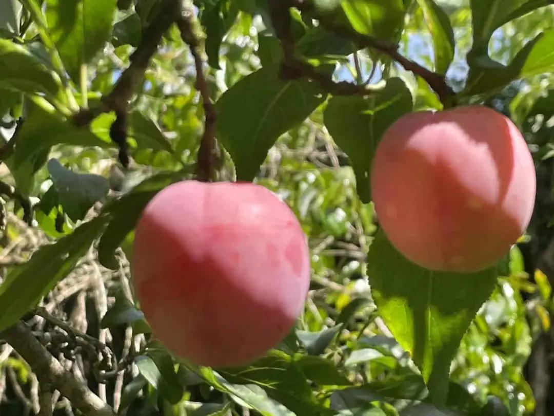 老汤创业,老汤生活记录