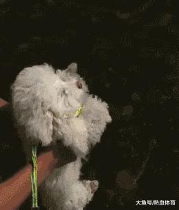 这就是李某和李女士的区别，现在连“马赛克”都开始区分颜值了