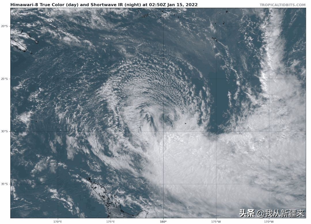 新疆哈密翼龙,天山哈密翼龙