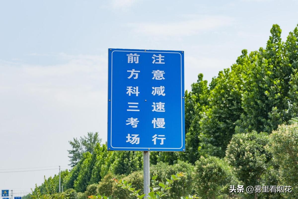 不考驾照人生就有遗憾吗,不考驾照是什么体验