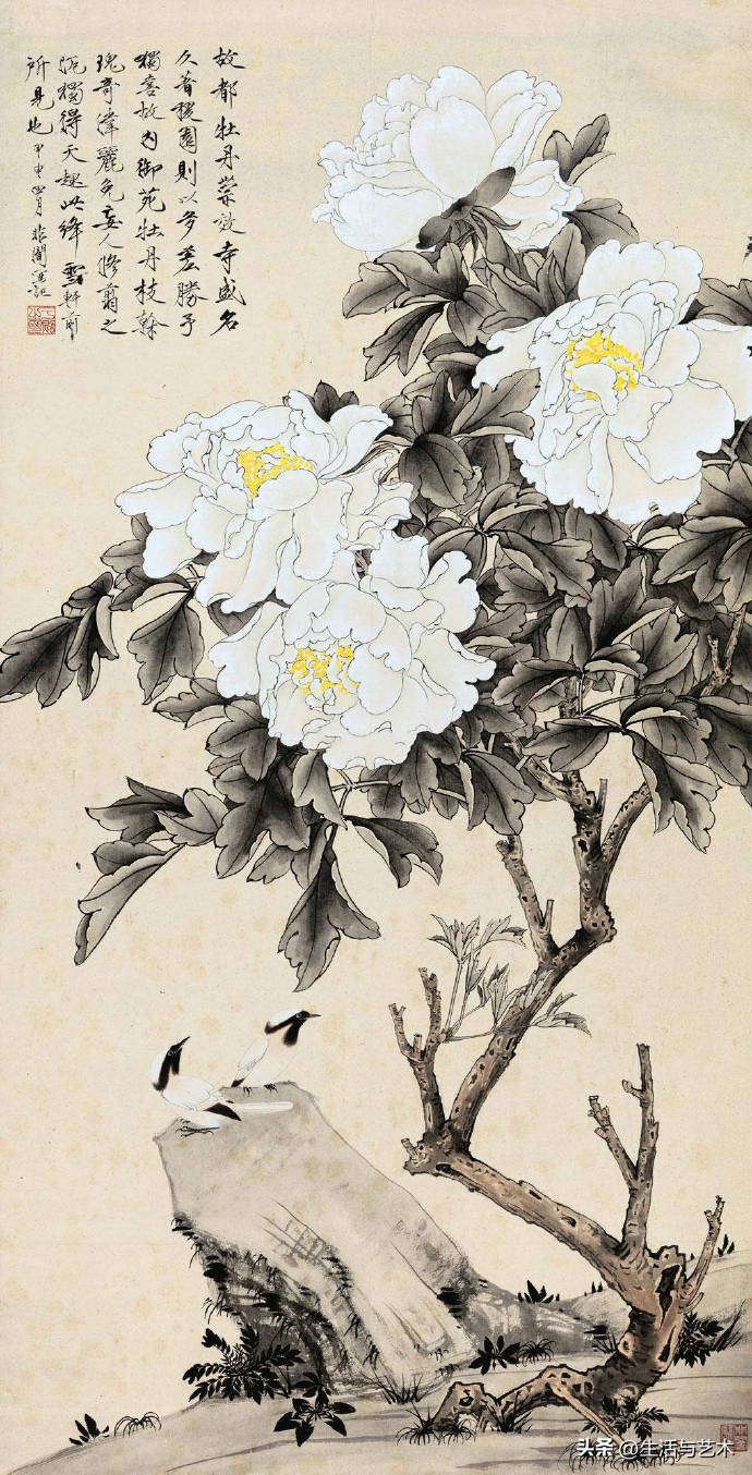 工笔牡丹和鸟白描图片欣赏,王道中工笔牡丹白描稿马蹄莲