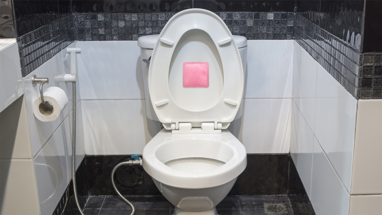 出租房厕所异味满屋子窜?只要放一样东西,异味瞬间消除!