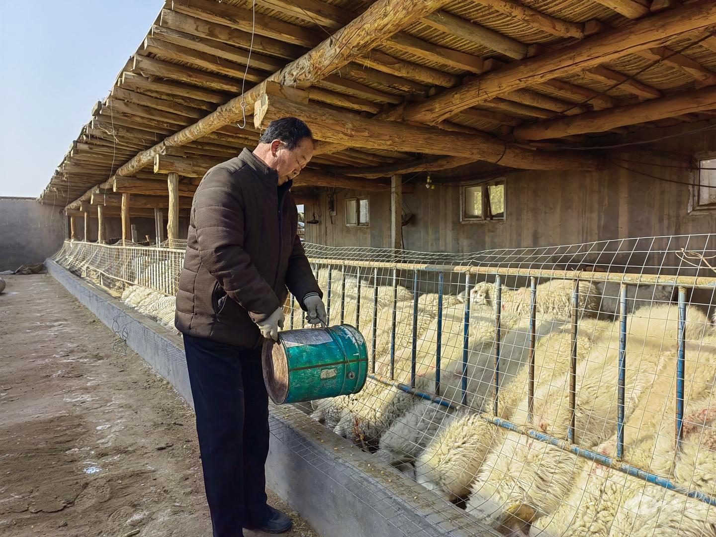 新春走基层乡村振兴,新春走基层扶贫致富