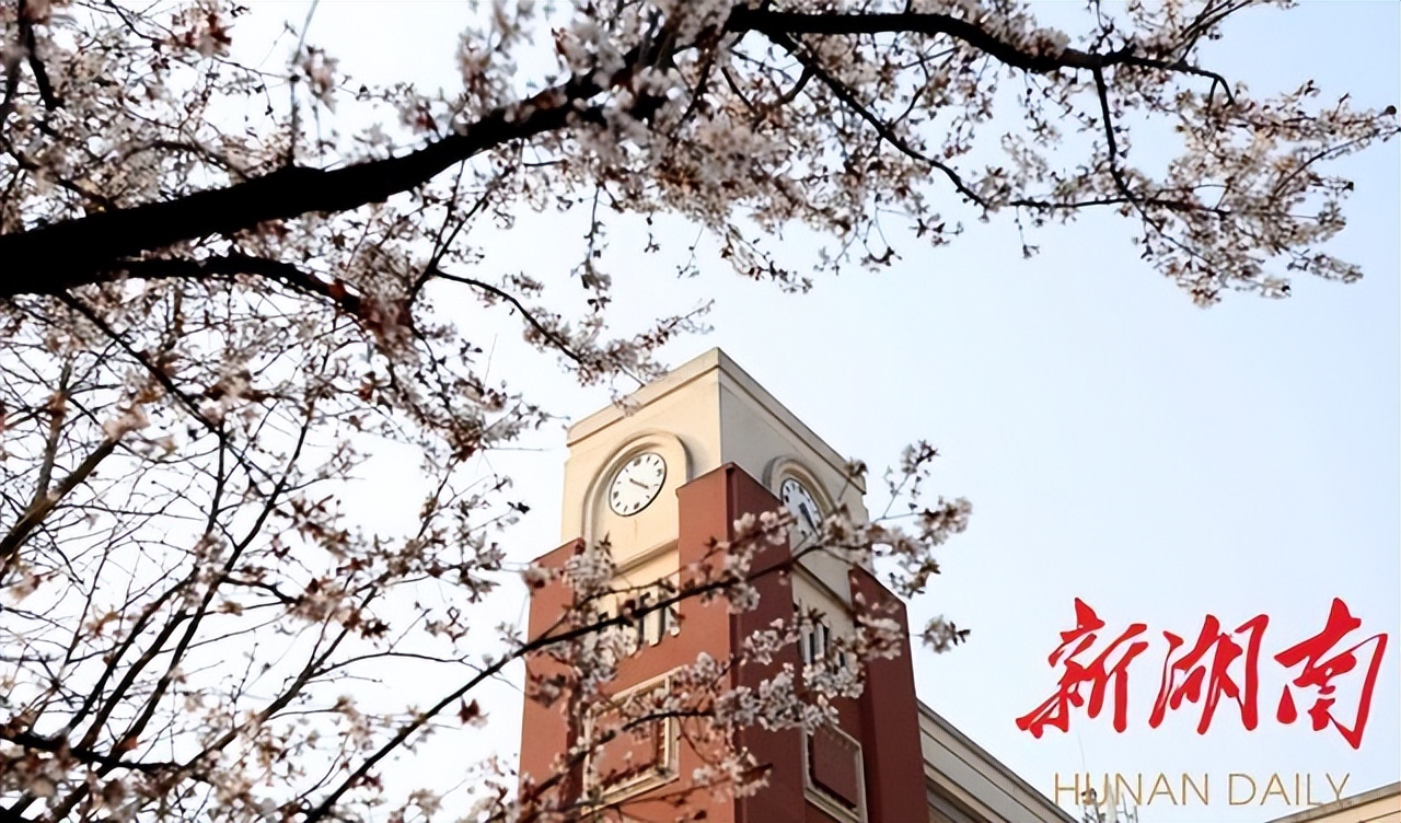 长沙四大名校升清北排名,清北长沙录取最多私立学校