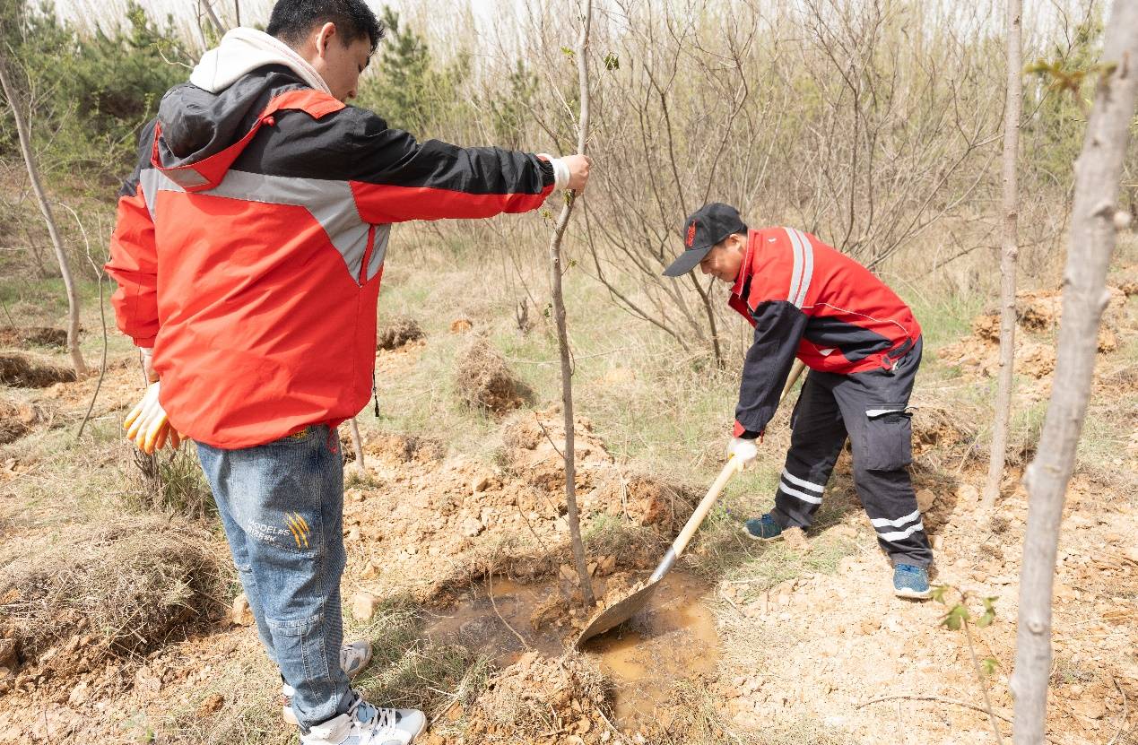 “植”此青绿、共“树”希望中粮可口可乐在辽宁掀起全民义务植树风潮