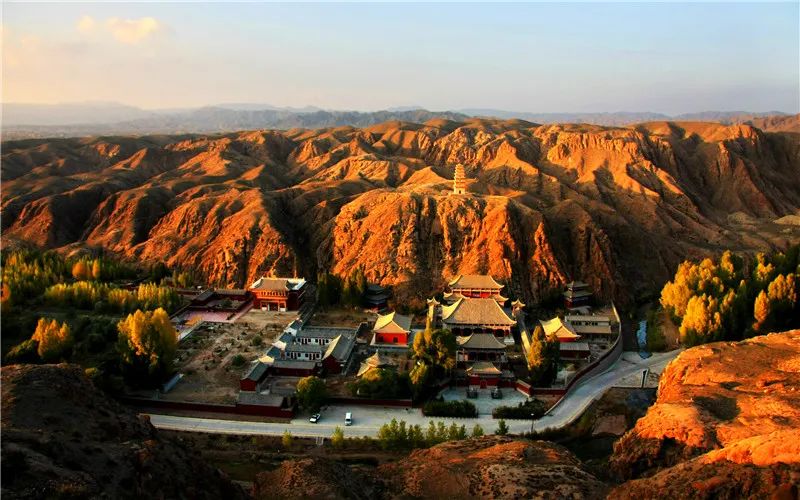 提升幸福指数tips,提升生活幸福感的小操作