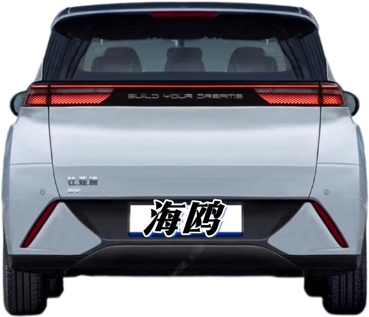 F0的接班人，比亚迪海鸥内饰谍照来了，10万内有没有问题？