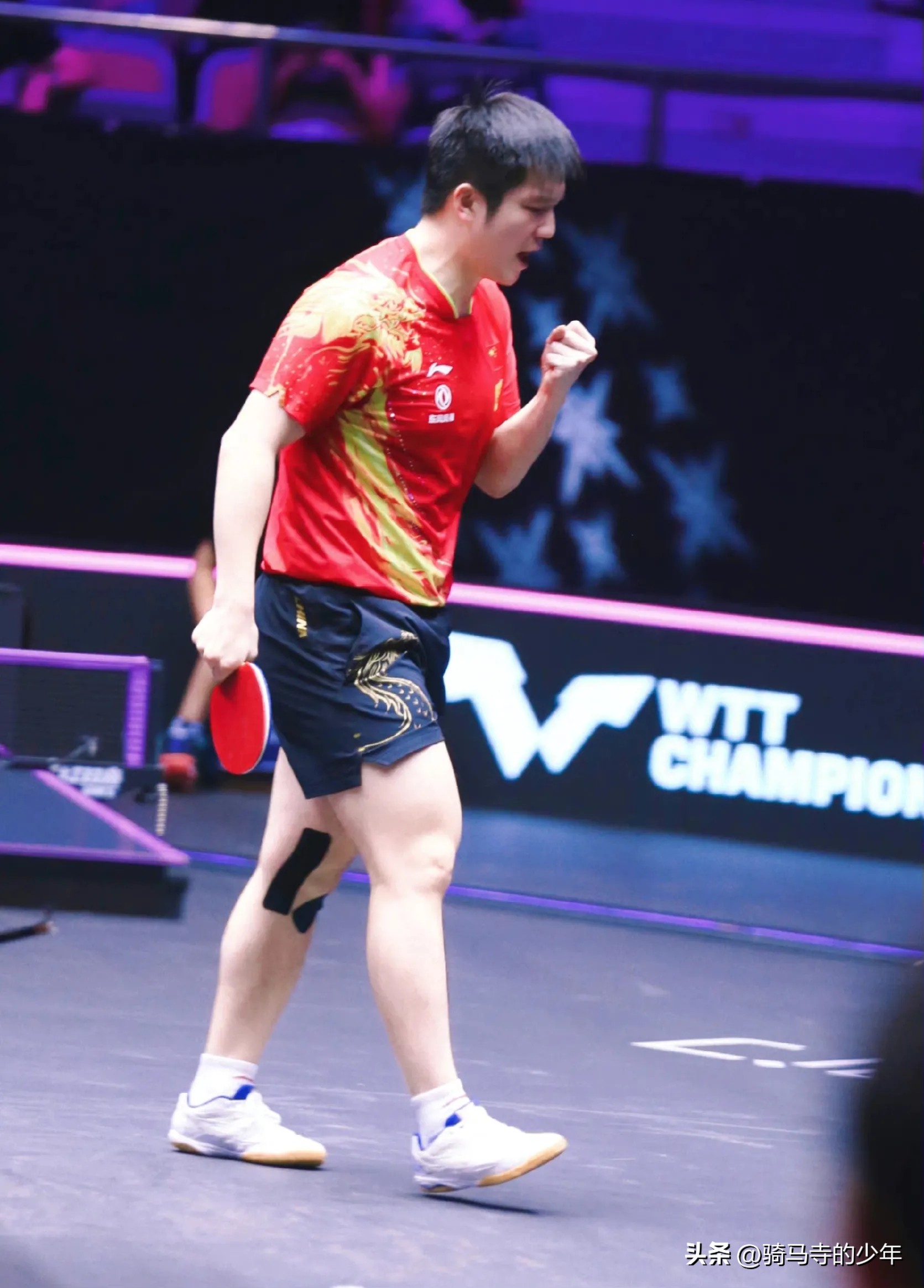 马龙被质疑参加东京奥运会,马龙vs王楚钦遭质疑