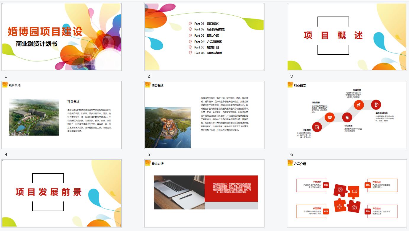 大丰商业计划书案例,商业项目开发计划书