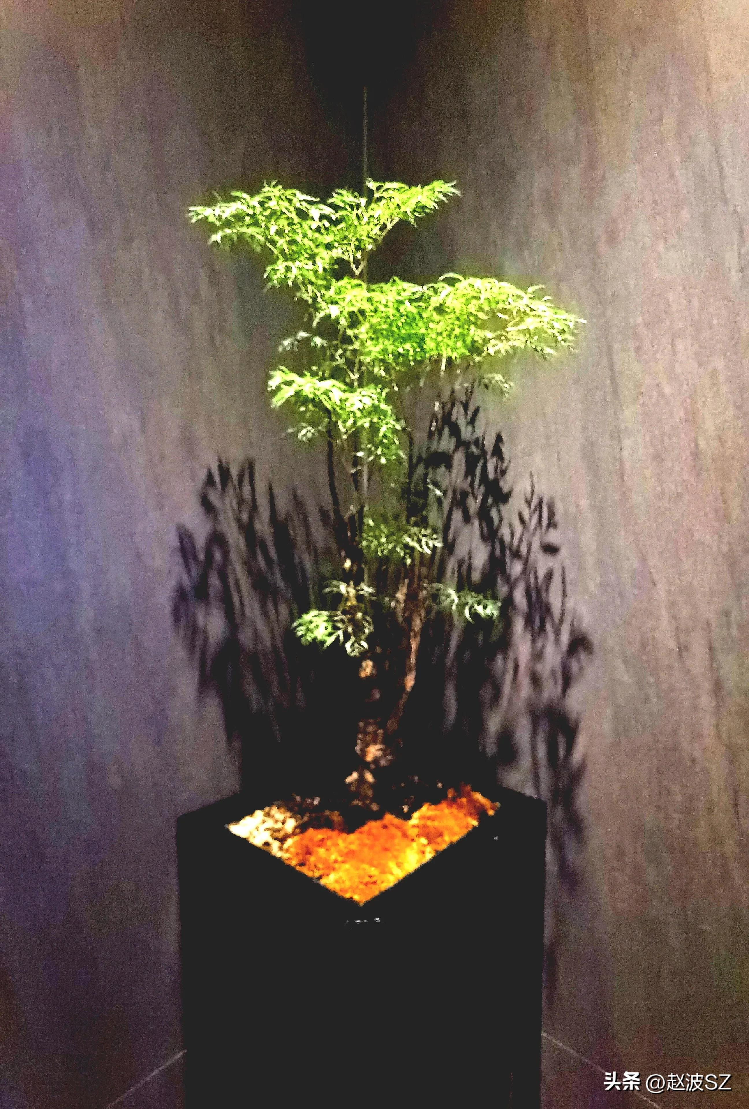 管理的适度原则,管理不能只有量化考核