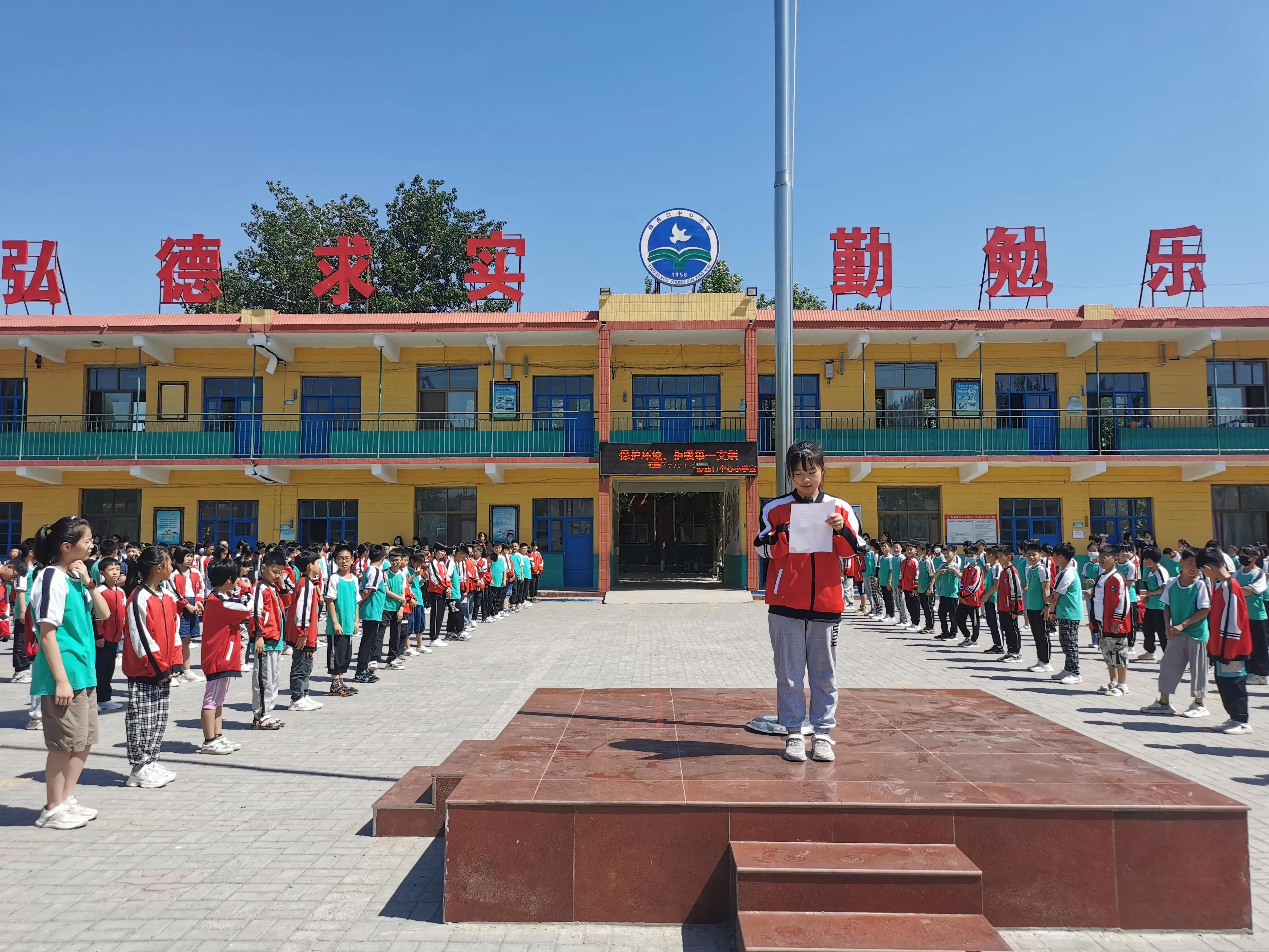 庄科小学世界无烟日宣教活动,小学开展世界无烟日宣传活动美篇