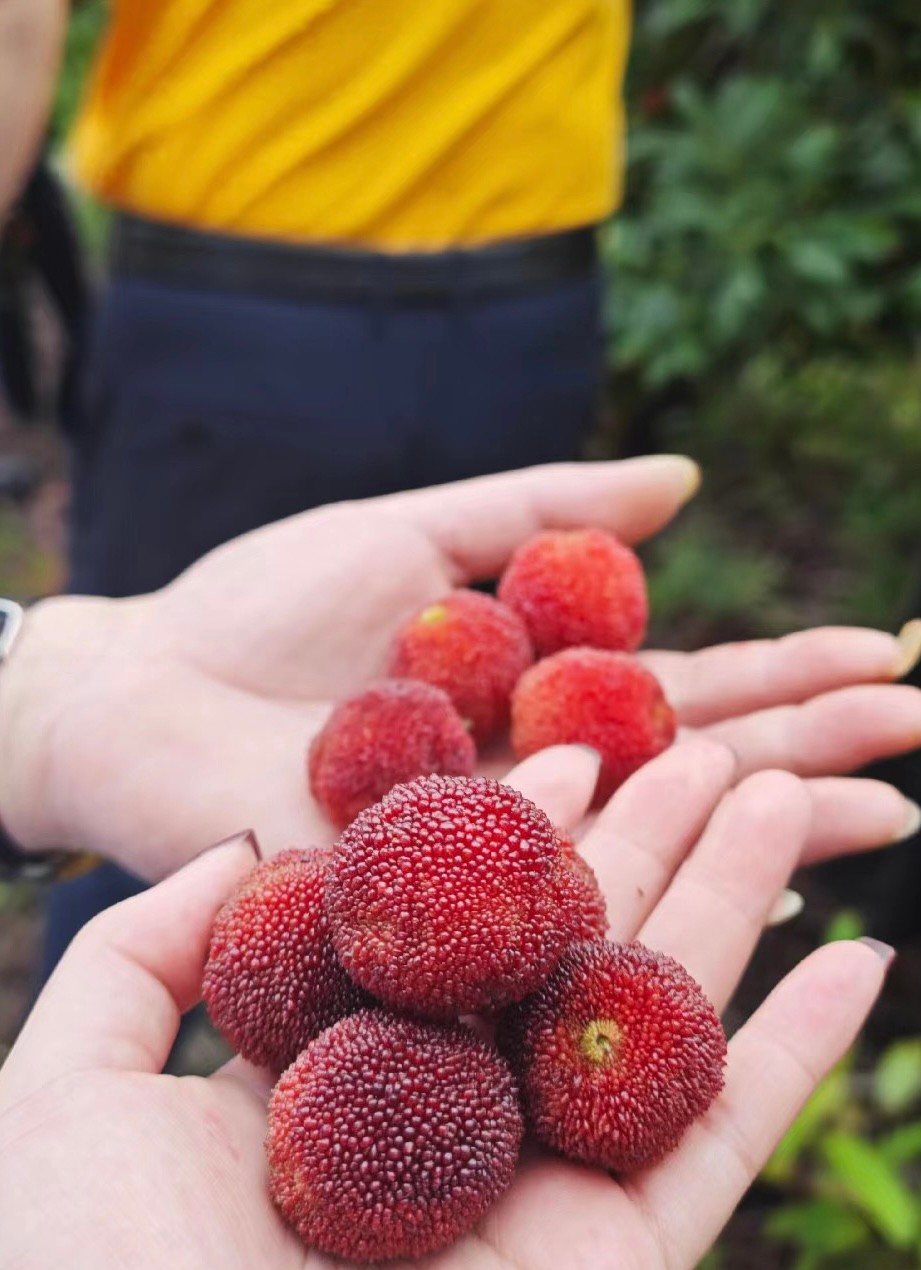 各个品牌旗舰机测评,各品牌旗舰机测评