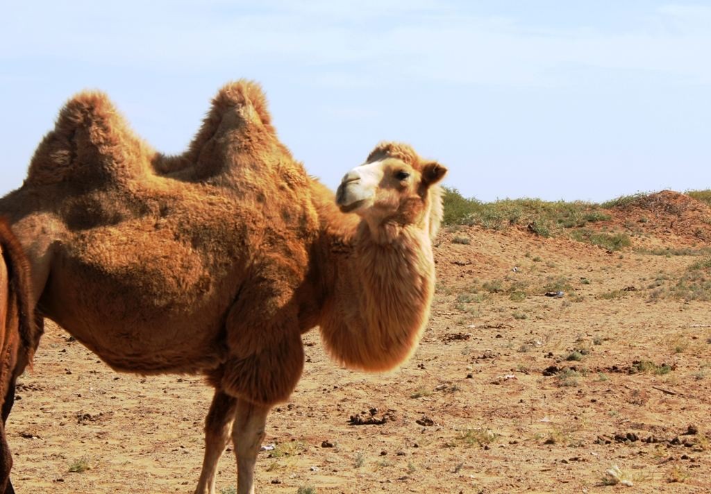 鏄ュ垎鑺傛皵钀ュ吇鏃╅,鏄ュ垎瀛h妭鍚冧粈涔堟棭椁愬ソ