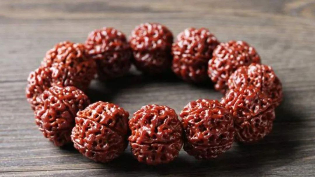 金刚菩提子知识,金刚菩提子的知识