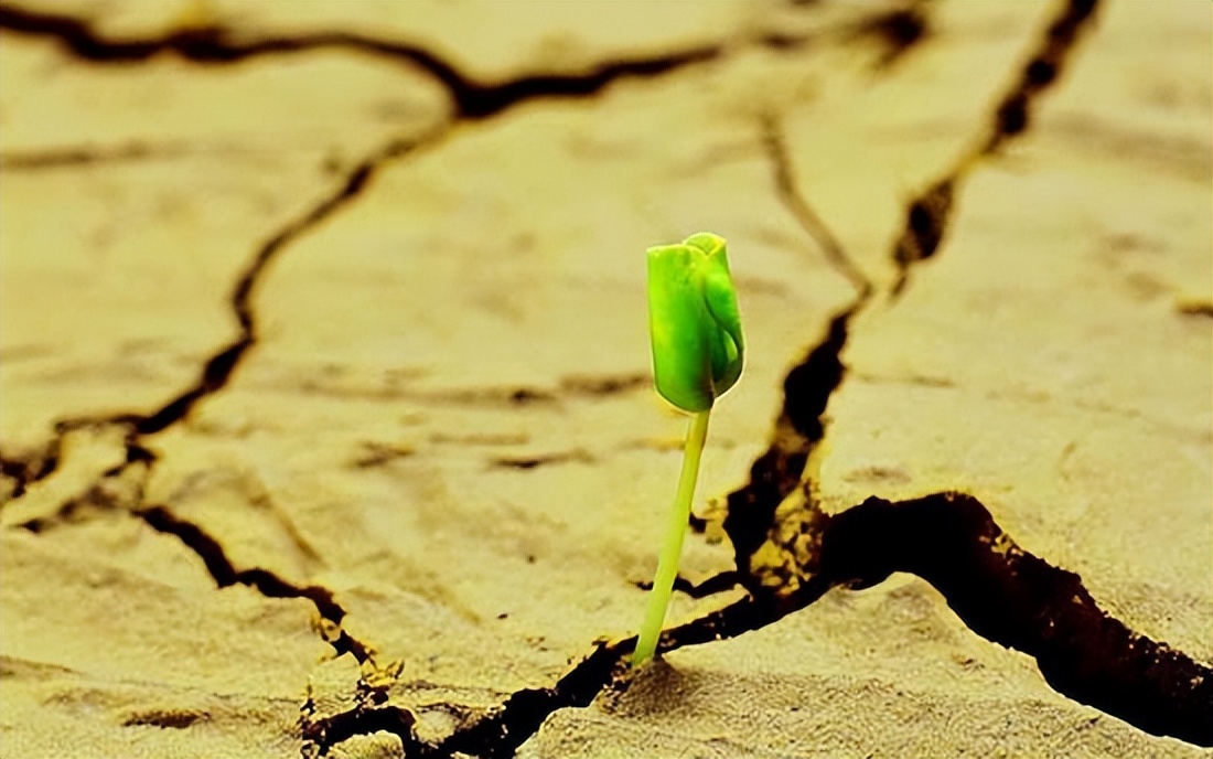 你适合创业吗创业要注意哪些事项,创业应该选择什么样的创业模式